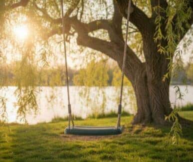 Tree swing with a flat wooden seat hanging from ropes on a large tree, overlooking a calm body of water with sunlight filtering through the leaves.