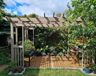 Wooden pergola with slatted roof over garden deck, surrounded by bonsai and potted plants in private outdoor setting.