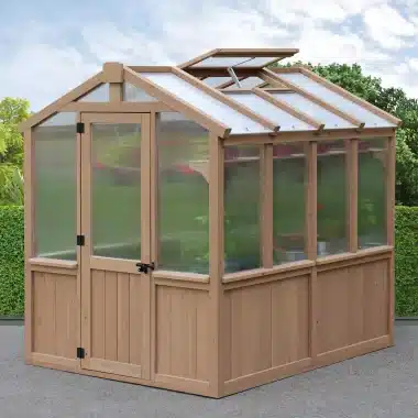 Small wooden greenhouse with transparent roof and wall panels, pitched roof, single door, and vent window, set on paved surface with hedge and trees in background.